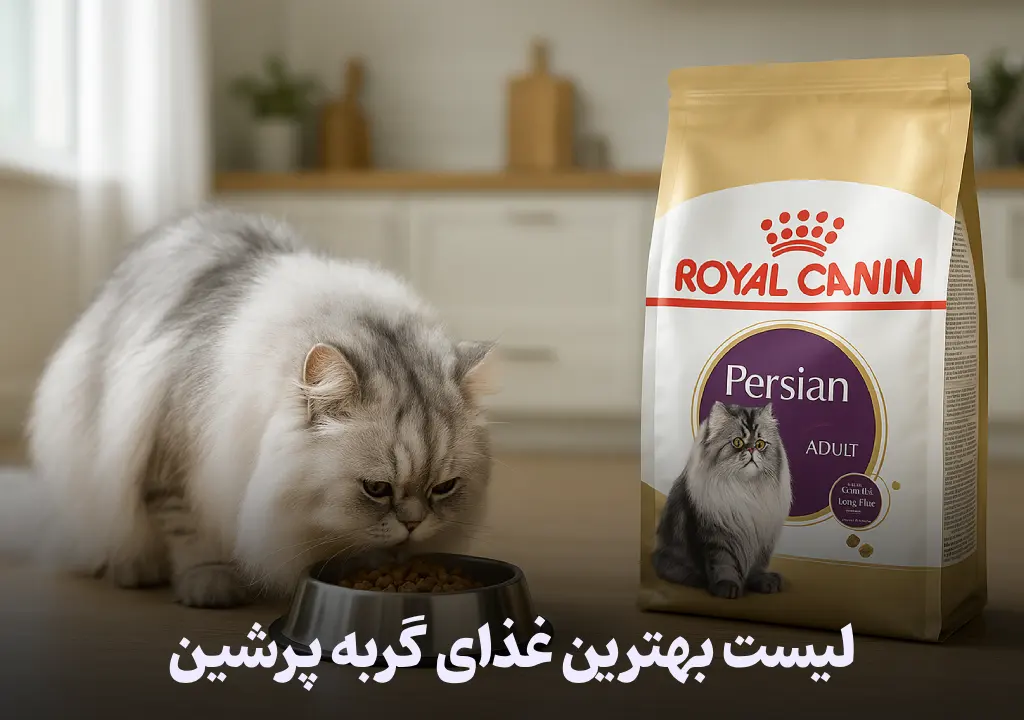 لیست بهترین غذای گربه پرشین