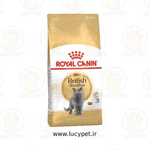 غذای خشک گربه بریتیش پرو رویال کنین وزن 13 کیلوگرم | Royal Canin British Shorthair Adult Pro