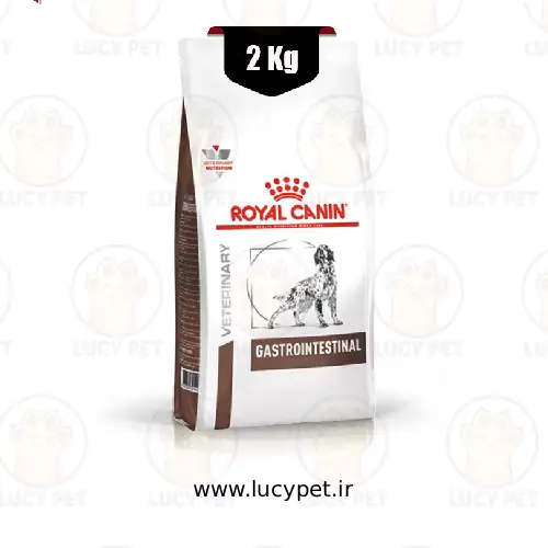 غذای خشک سگ گاسترو اینتستینال رویال کنین 2 کیلوگرم (Royal Canin Gastro Intestinal Dog)